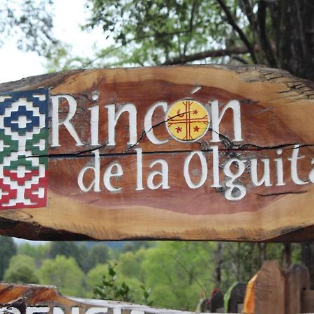 El Rincon De La Olguita Βίλα Curacautín Εξωτερικό φωτογραφία