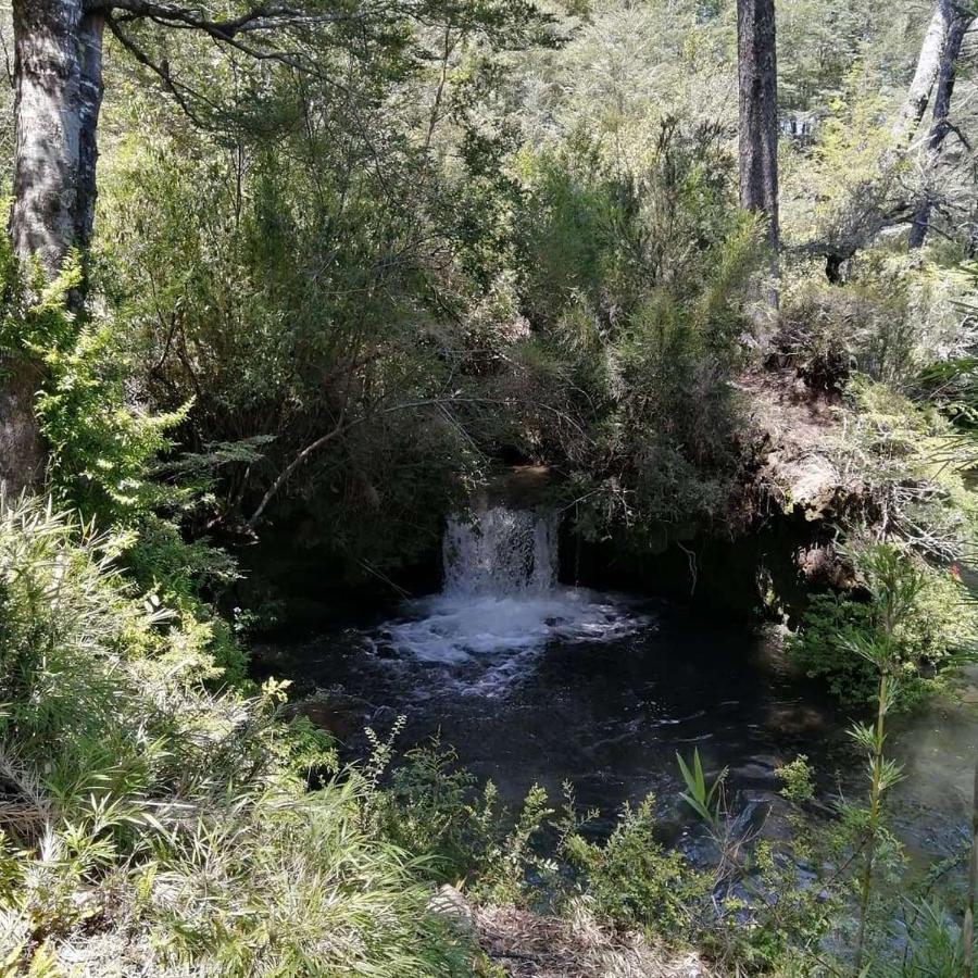 El Rincon De La Olguita Βίλα Curacautín Εξωτερικό φωτογραφία